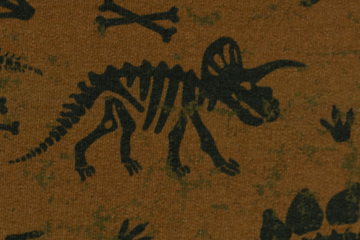 Sweat mit Dinosauriern, terracotta, 0,5 m